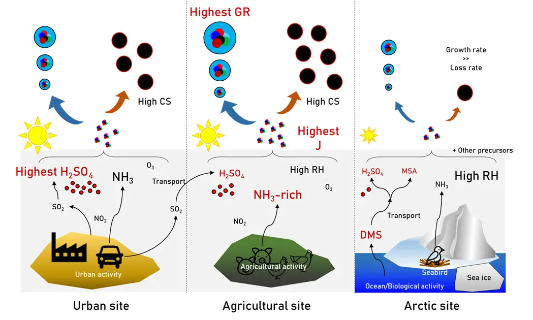 NPF Study